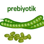 prebiyotik-nedir