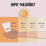 spf-nedir